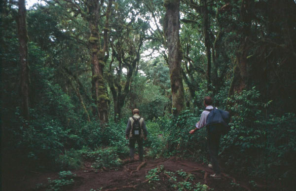 1999_Kilimanjaro_070