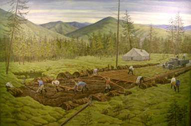 history2.jpg (16226 Byte)