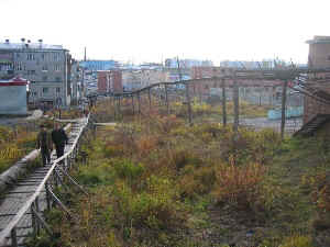 dudi5.jpg (39463 Byte)