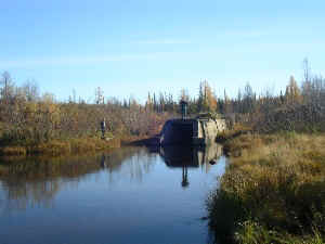 iga12.jpg (7401 Byte)