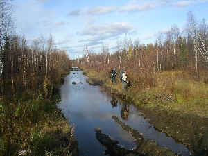 iga17.jpg (9795 Byte)