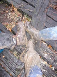 iga22.jpg (67094 Byte)