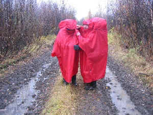 iga24.jpg (52627 Byte)