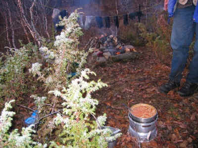 iga25.jpg (87692 Byte)