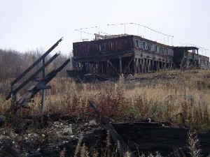 iga37.jpg (36498 Byte)