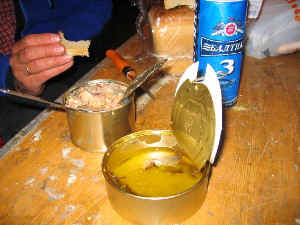 iga43.jpg (44893 Byte)